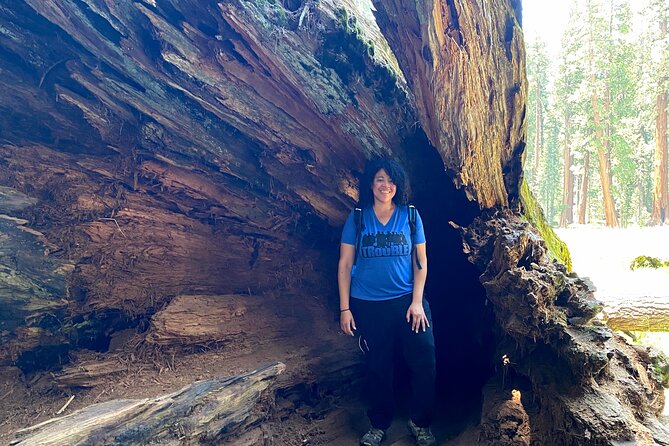 Semi Private Tour to Sequoia National Park With Lunch - Accessibility and Additional Info