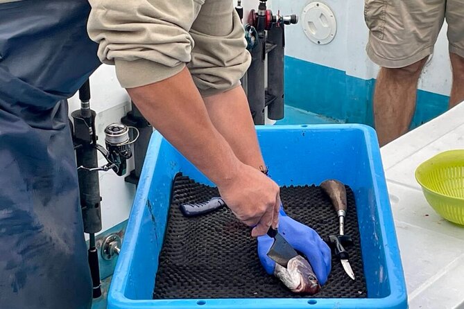 Setouchi Fishing and Culinary Adventure - Meeting and End Points