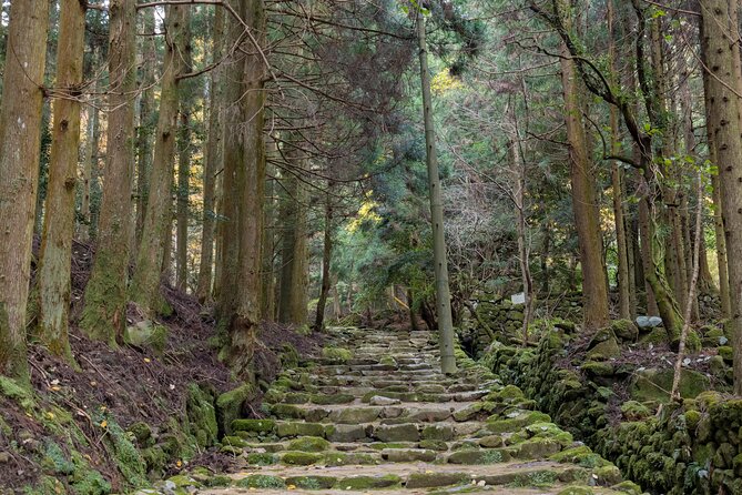 Shinrinyoku Explore the Historic Sites of Shugendo Culture - Experiencing Traditional Japanese Cuisine