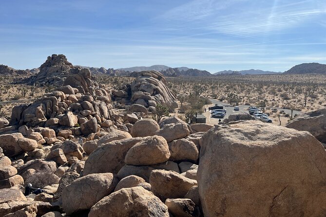 Sightseeing Adventure Tour of Joshua Tree National Park - Positive Feedback From Participants