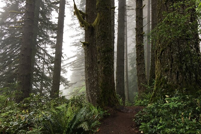 Silver Falls Waterfall Hiking Tour From Portland - Traveler Experience and Reviews