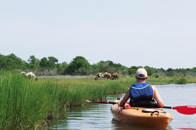 Single Sit on Top Kayak Rental at Assateague Island, MD - Meeting and Pickup Information