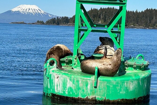 Small Group Boat Tour of Sitka - Wildlife and Experience Highlights