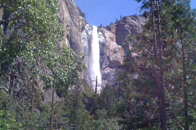 Small-Group Day Trip to Yosemite From Lake Tahoe - Wildlife Sightings