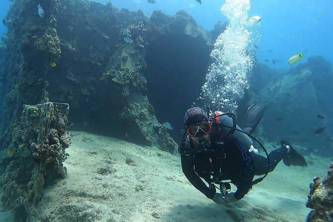 Small Group Discover Scuba Diving From Electric Beach With Photos - Instructor Experience and Feedback