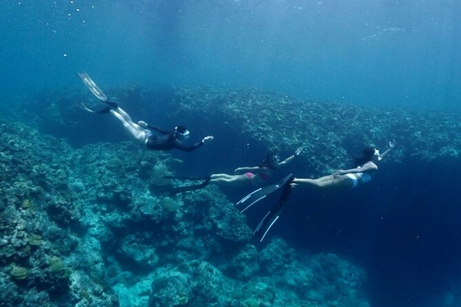 Small Group Diving Activity in Miyakojima - Meeting and Pickup Arrangements