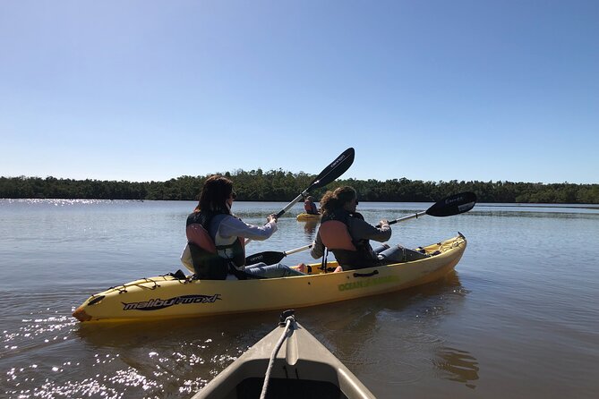 Small-Group Everglades Boating Kayaking and Walking Eco Tour - Wildlife Sightings