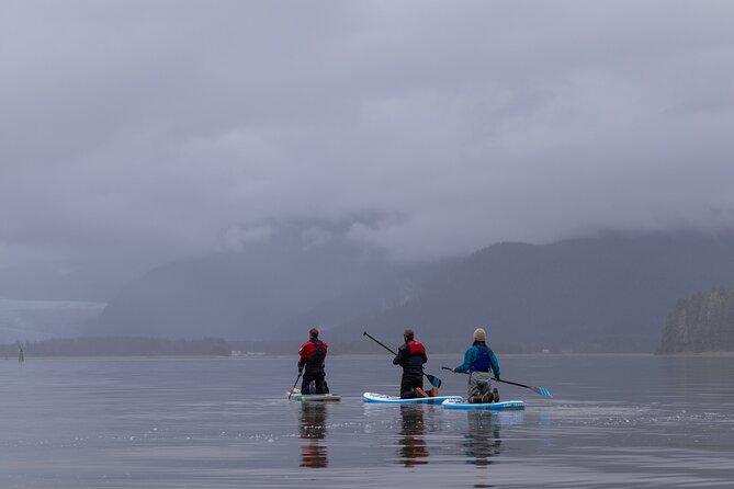 Small Group Paddleboard Adventure With Mendenhall Glacier Views - Health and Safety Considerations