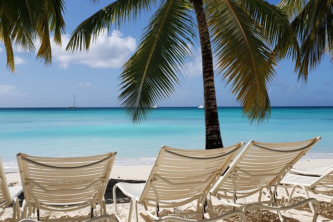 Small Group: Saona Island Full Day Tour - Itinerary and Experience