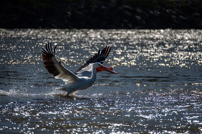 Snake River Scenic Float Private Guided Tour - Tour Details and Expectations