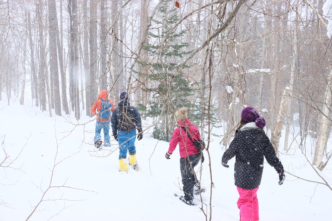 Snowshoe Tours in Niseko Explore Beautiful Snowscapes Adventure - Taking in the Tranquility of Nisekos Serene Forests