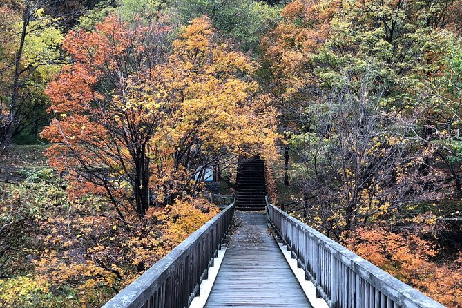 Sounkyo Gorge Autumn Leaves Ice Pavilion Day Tour by Private Car - Marveling at the Ice Pavilion