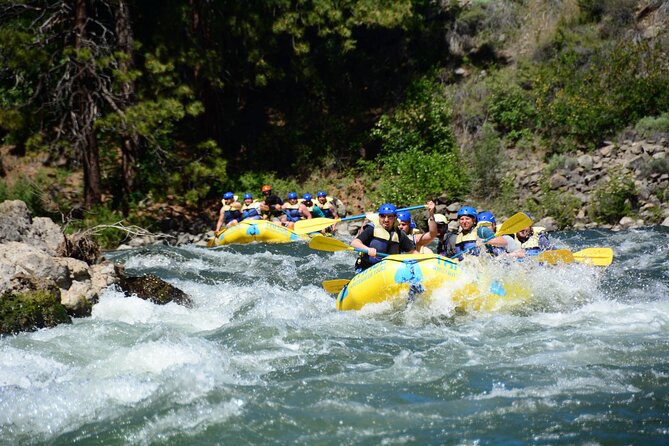 South Fork, American River: Chili Bar (Class III+ Whitewater) - Safety and Health Requirements