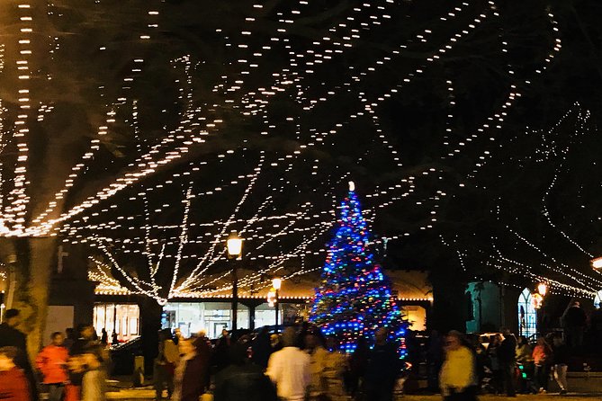 St. Augustine Nights of Lights Celebration From Orlando - Accessibility Information