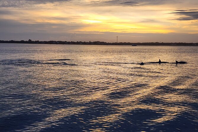 St. Augustine Private Day or Sunset Boat Tour, 6 Passengers Max - Inclusions and Amenities