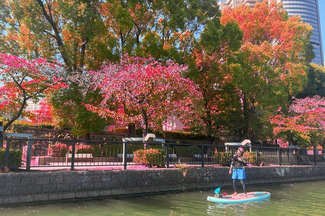 Stand up Paddle Boarding Experience in Osaka - Participant Suitability and Accessibility