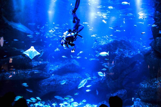 Sumida Aquarium Ticket Tokyo - Meeting Point and Directions