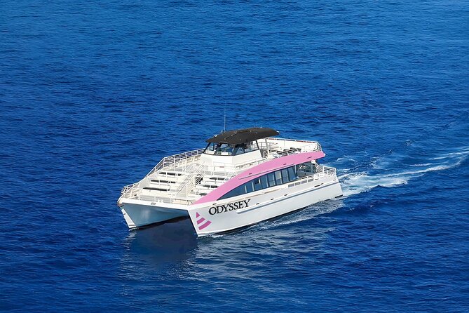Sunset Cruise & Whale Watching From Oahu - Memorable Moments and Sightings