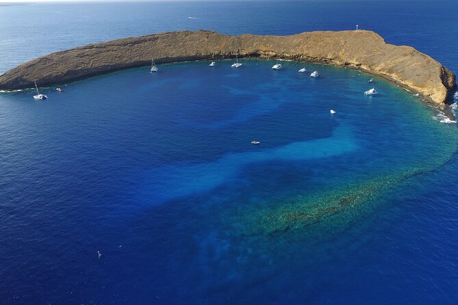 Super Raft - Private Charter Maui 3 Hour Snorkel to Coral Gardens or Molokini - Health and Safety Guidelines