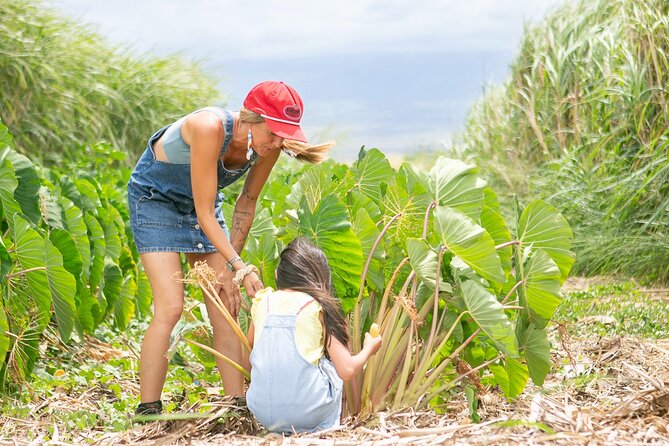 Taste of Hawaii: A Maui Farm Tour - Tour Inclusions