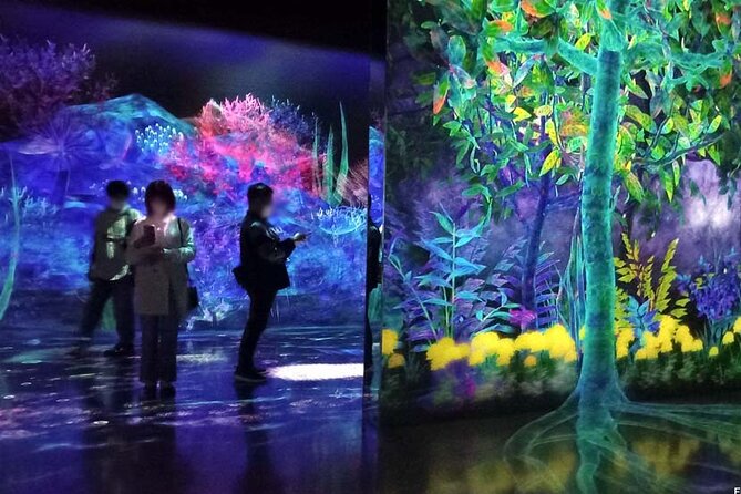 Teamlab Forest Fukuoka an Immersive Art Experience Ticket - Ticket Pricing and Availability