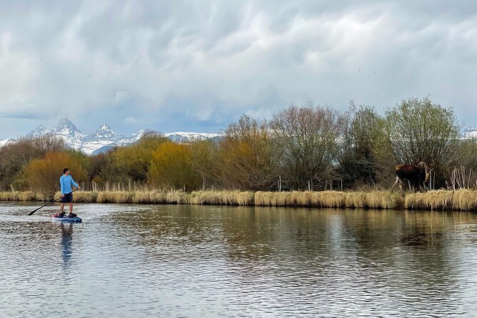 Teton River Paddleboard Adventure - 4.5 Miles - Meeting Point and Logistics