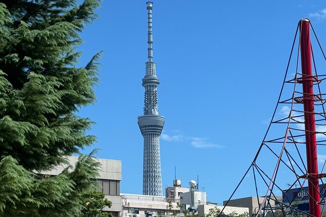 The Spirit of Sumo: Yokozuna Stable Morning Practice in Ryogoku - Schedule Details