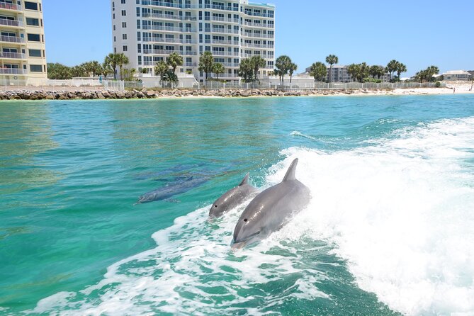 Thriller Sunset Dolphin Cruise in Destin Harbor - Pricing and Booking Information
