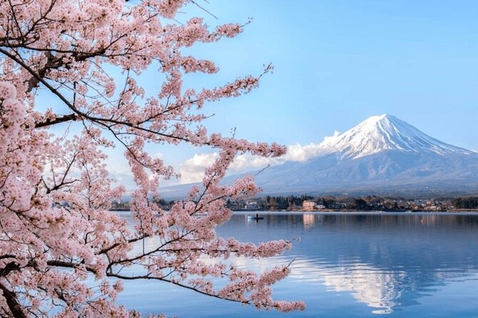 Tokyo 10 Hour Customizable Private Tour - Accessibility