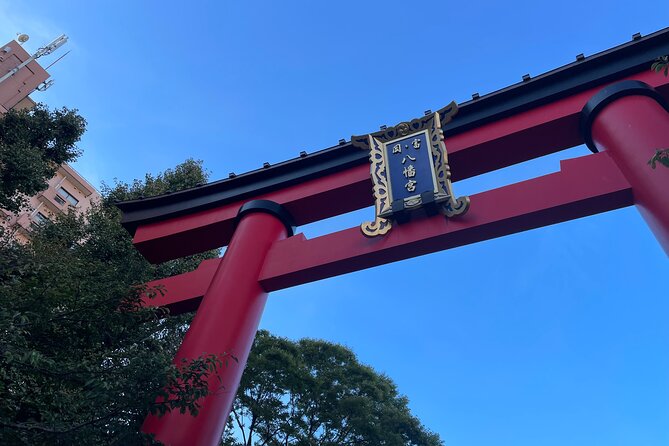 Tokyo: a Cultural Journey and a Little Bar Hopping of Izakaya - Additional Information