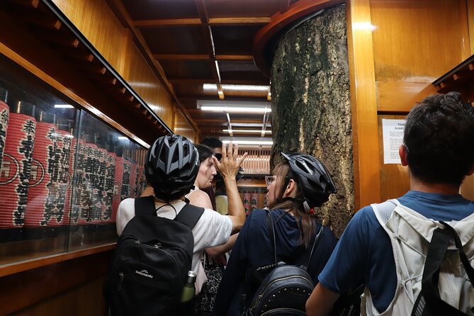 Tokyo Bay Sunset and Night View for 3h E-bike Guided Tour - Participation Requirements and Restrictions