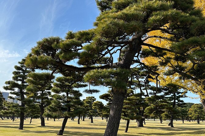 Tokyo Castle & Imperial Palace , Historical Walking Tour - Accessibility and Group Size