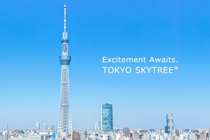 Tokyo City Walk Private Sightseeing Day Tour - Accessibility and Health Recommendations