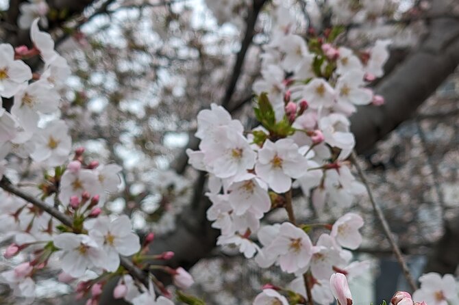 Tokyo Experience Food & Cycling Local Life Tour - Meeting and End Point