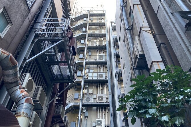 Tokyo Ginza Deep Back Alley Walking Tour - Accessibility and Recommendations