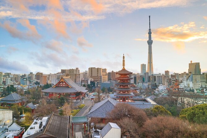 Tokyo Morning Small Group Tour - Additional Information
