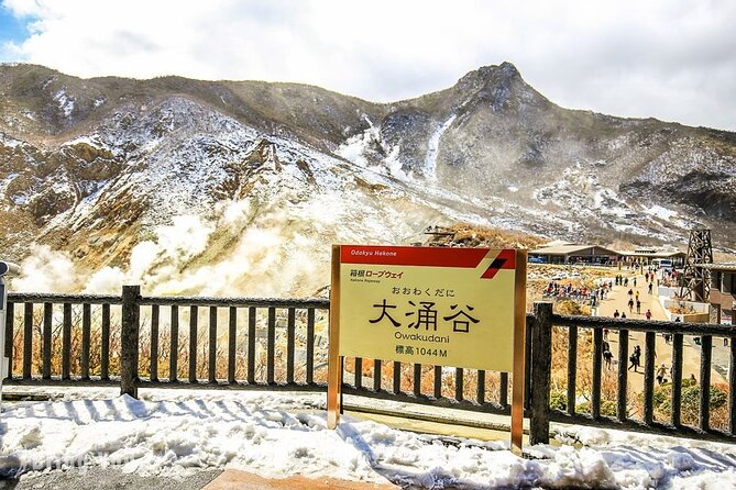 Tokyo Mt. Fuji Hakone Shrine, Owakudani, Lake Yamanakai Day Tour - Cancellation and Review Policy