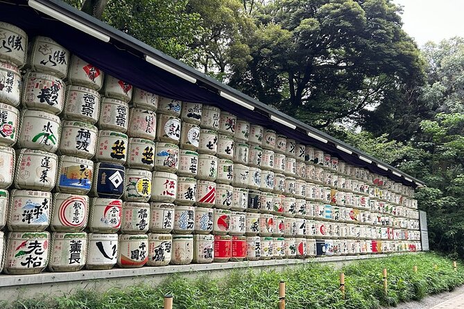 Tokyo Private City Tour - Accessibility and Participation