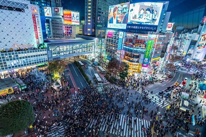 Tokyo Private Customizable Day Tour With English Speaking Driver - Accessibility