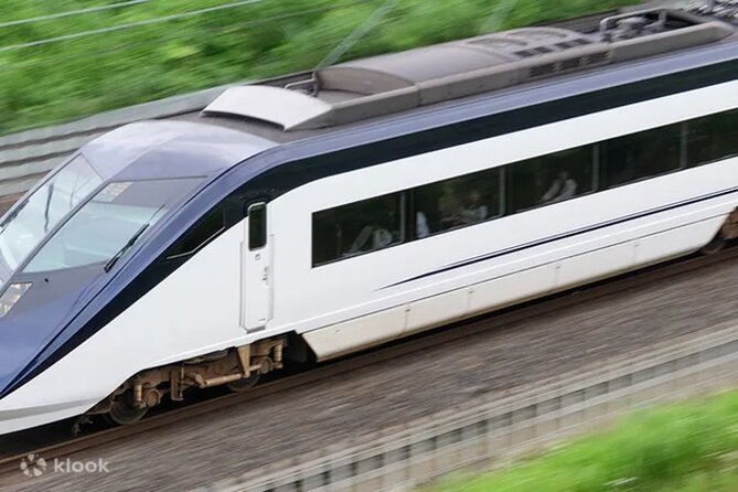 Tokyo Skyliner One Way Ticket From Ueno or Nippori to Narita - Accessibility and Participation