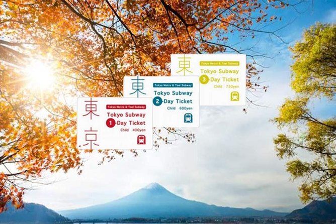 Tokyo Subway Ticket - Accessibility