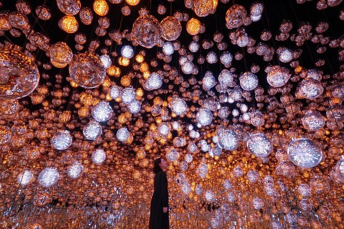 Tokyo: Teamlab Borderless Museum Admission Ticket - Inclusions
