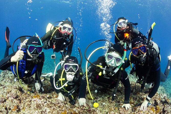 Trial Diving Tour That Even Inexperienced People Can Enjoy Safely - Pricing and Cancellation Policies Explained