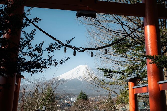 Trip to Mt Fuji and Lake Kawaguchiko With English Speaking Driver - Booking Information