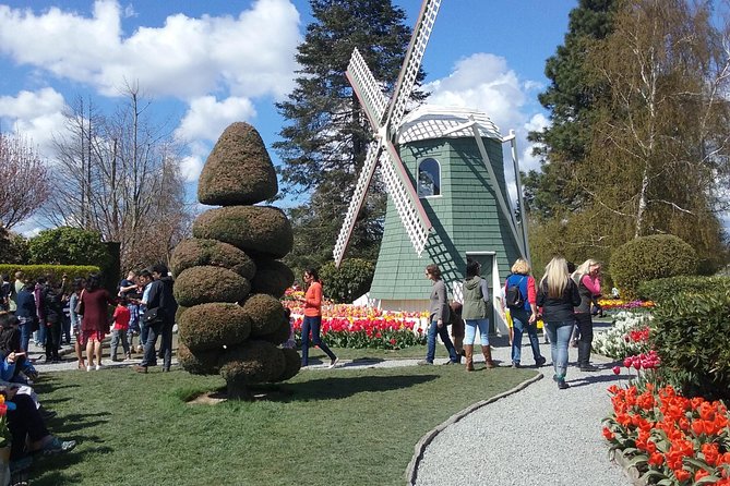 Tulip Festival and Skagit Valley Tour - Customer Feedback