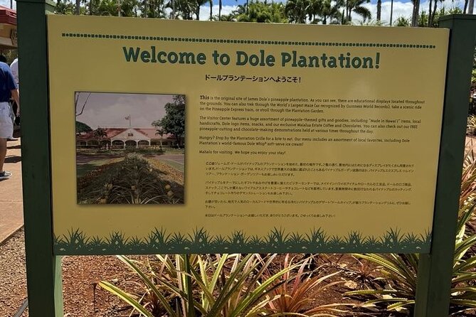 Turtle Snorkeling and Dole Plantation Guided Tour In Oahu - Accessibility Features