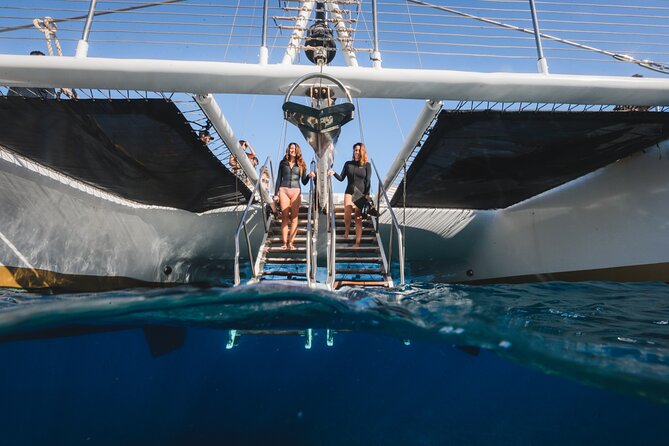 Turtles & Tacos Luxury Catamaran Snorkel - Amenities and Inclusions on Board