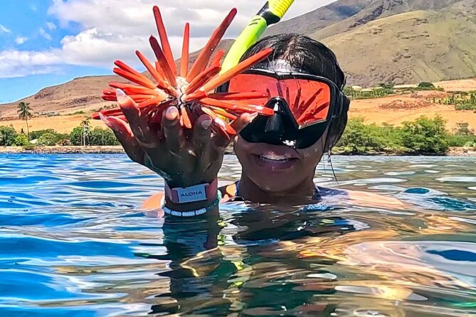 Unlimited Guided Snorkeling Tour for Beginners Plus - Meeting and Pickup Details