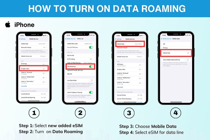 USA Esim (3-30 Days. up to 20GB of Data) - Customer Support and Assistance