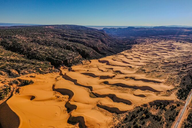 UTV Dune Cruise and Surf at Coral Pink Sand Dunes - Highlights of the Experience